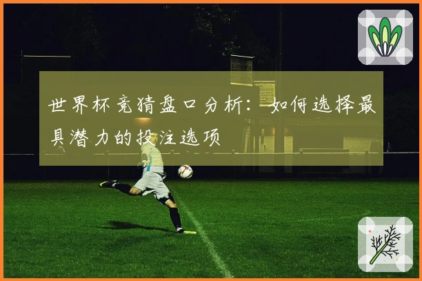 世界杯竞猜盘口分析：如何选择最具潜力的投注选项
