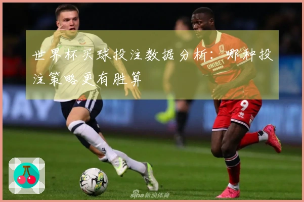 世界杯买球投注数据分析：哪种投注策略更有胜算