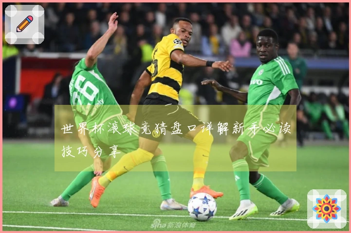 世界杯滚球竞猜盘口详解新手必读技巧分享