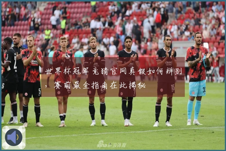 世界杯冠军竞猜官网真假如何辨别，赛前最全指南在此揭秘