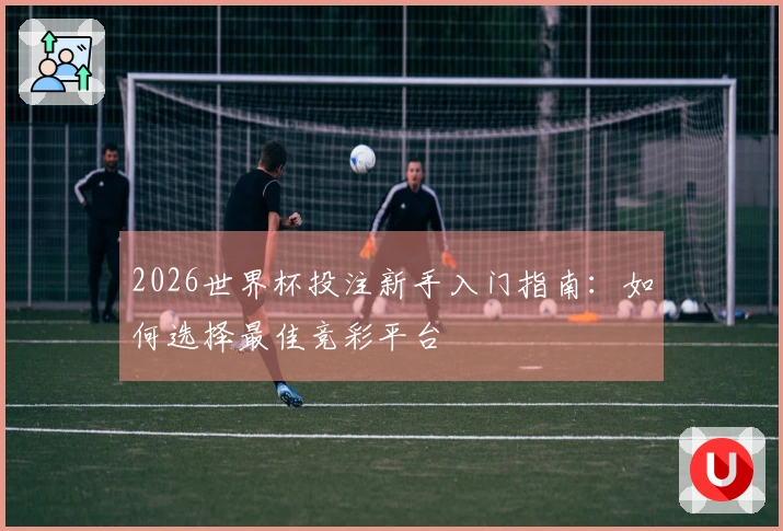 2026世界杯投注新手入门指南：如何选择最佳竞彩平台