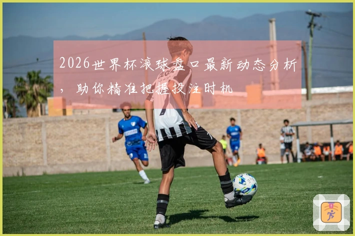 2026世界杯滚球盘口最新动态分析，助你精准把握投注时机