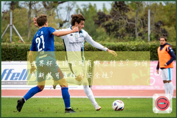 世界杯竞猜官网有哪些特点？如何判断其可靠性与安全性？