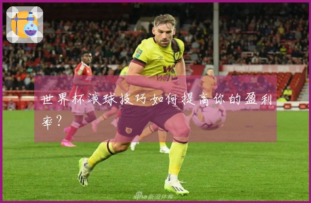 世界杯滚球技巧如何提高你的盈利率？
