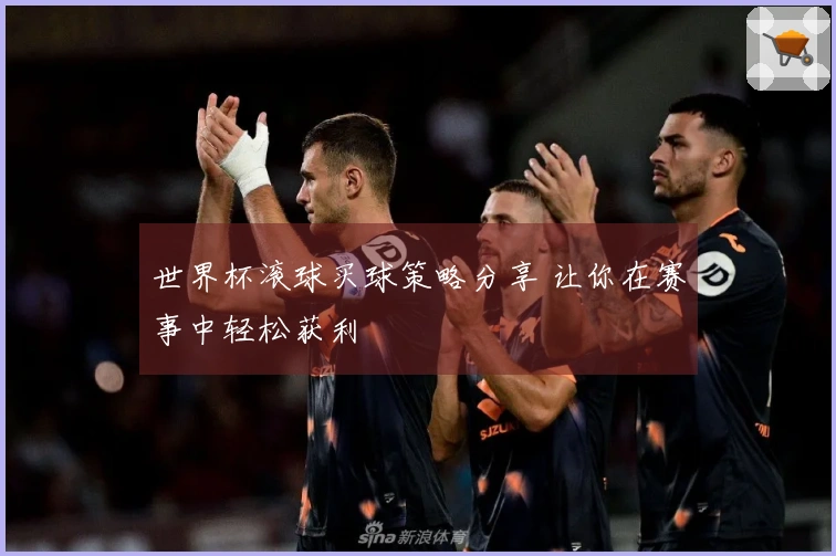 世界杯滚球买球策略分享 让你在赛事中轻松获利