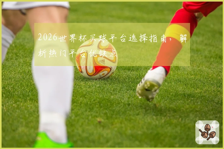 2026世界杯买球平台选择指南，解析热门平台优缺点