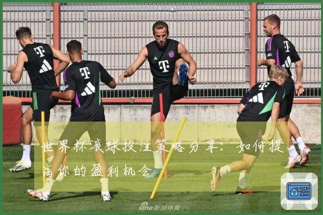 世界杯滚球投注策略分享：如何提高你的盈利机会
