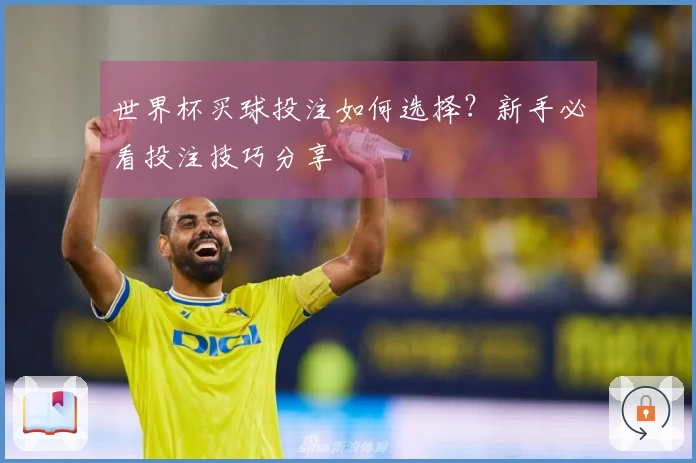 世界杯买球投注如何选择？新手必看投注技巧分享