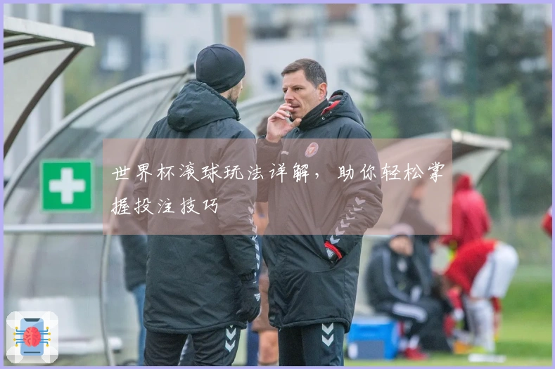 世界杯滚球玩法详解，助你轻松掌握投注技巧
