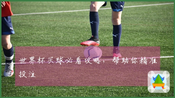 世界杯买球必看攻略，帮助你精准投注