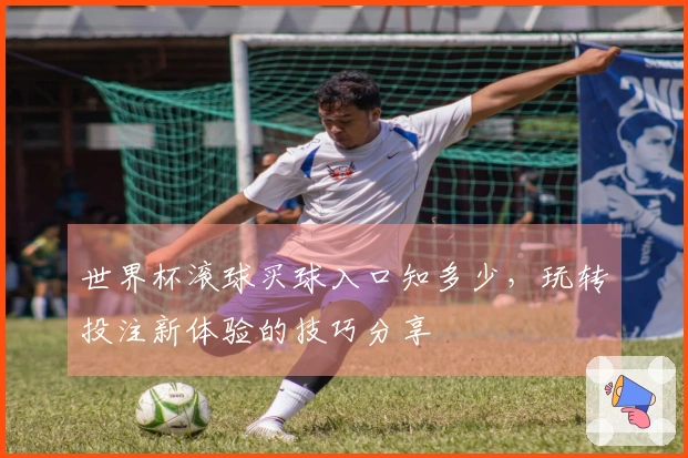 世界杯滚球买球入口知多少，玩转投注新体验的技巧分享
