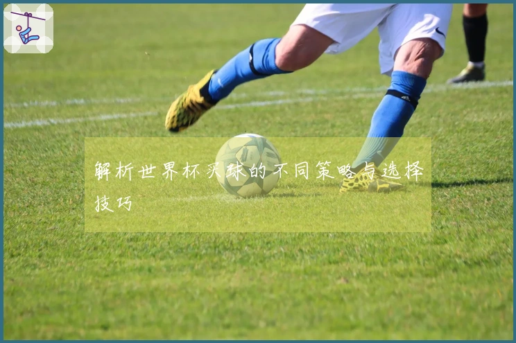 解析世界杯买球的不同策略与选择技巧