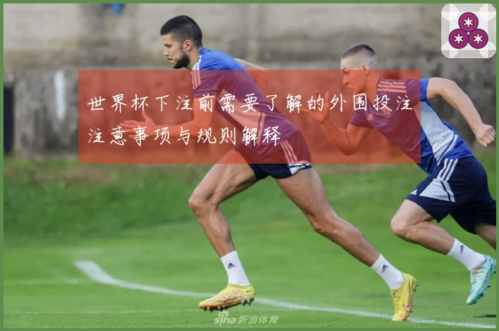 世界杯下注前需要了解的外围投注注意事项与规则解释