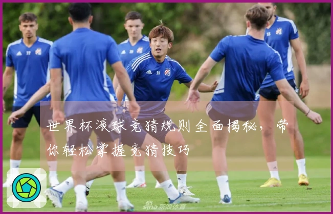 世界杯滚球竞猜规则全面揭秘，带你轻松掌握竞猜技巧