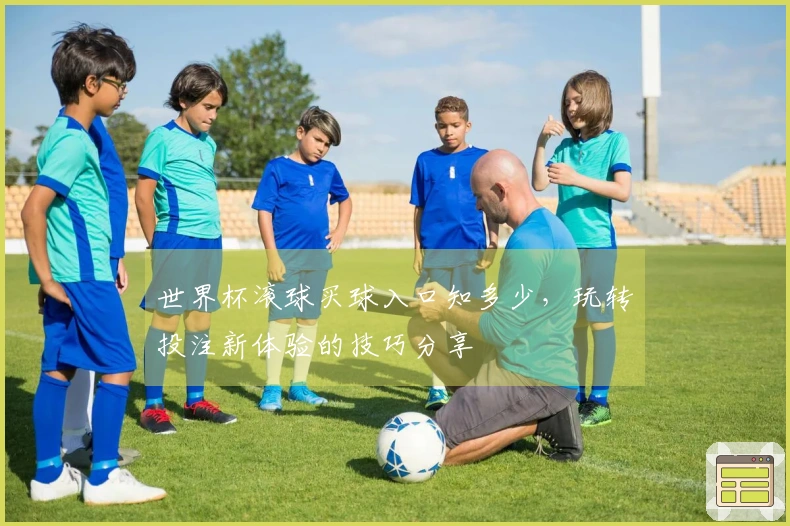 世界杯滚球买球入口知多少，玩转投注新体验的技巧分享
