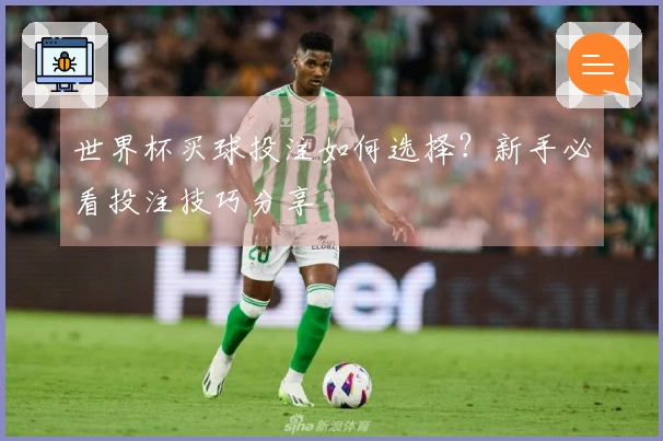 世界杯买球投注如何选择？新手必看投注技巧分享
