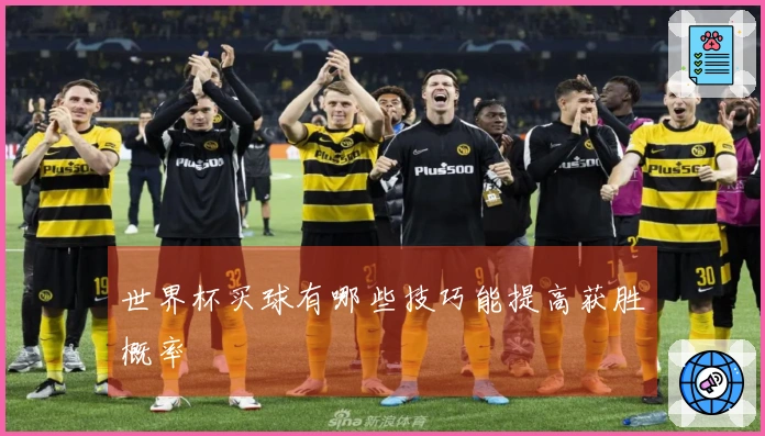 世界杯买球有哪些技巧能提高获胜概率