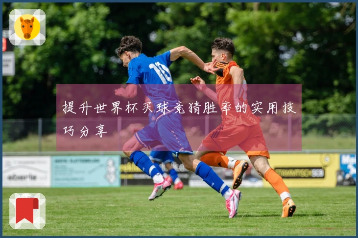 提升世界杯买球竞猜胜率的实用技巧分享